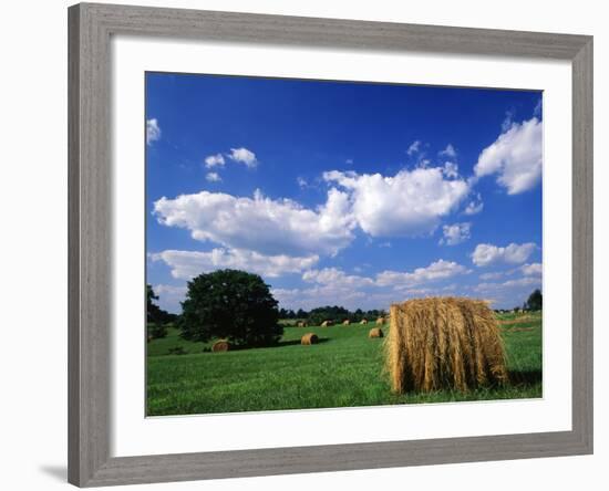 View of Hay Bales in Farm Field, Lexington, Kentucky, USA-Adam Jones-Framed Photographic Print