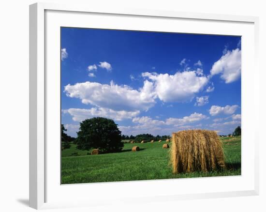 View of Hay Bales in Farm Field, Lexington, Kentucky, USA-Adam Jones-Framed Photographic Print