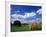 View of Hay Bales in Farm Field, Lexington, Kentucky, USA-Adam Jones-Framed Photographic Print