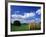 View of Hay Bales in Farm Field, Lexington, Kentucky, USA-Adam Jones-Framed Photographic Print