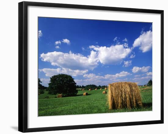 View of Hay Bales in Farm Field, Lexington, Kentucky, USA-Adam Jones-Framed Photographic Print