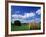 View of Hay Bales in Farm Field, Lexington, Kentucky, USA-Adam Jones-Framed Photographic Print