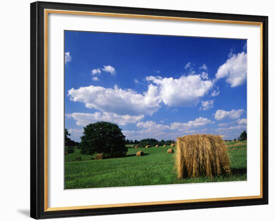 View of Hay Bales in Farm Field, Lexington, Kentucky, USA-Adam Jones-Framed Photographic Print