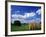 View of Hay Bales in Farm Field, Lexington, Kentucky, USA-Adam Jones-Framed Photographic Print