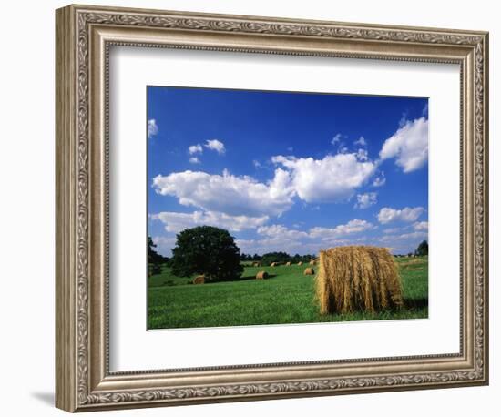 View of Hay Bales in Farm Field, Lexington, Kentucky, USA-Adam Jones-Framed Photographic Print