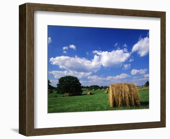 View of Hay Bales in Farm Field, Lexington, Kentucky, USA-Adam Jones-Framed Photographic Print