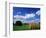 View of Hay Bales in Farm Field, Lexington, Kentucky, USA-Adam Jones-Framed Photographic Print