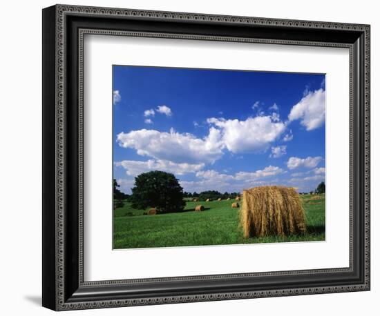 View of Hay Bales in Farm Field, Lexington, Kentucky, USA-Adam Jones-Framed Photographic Print