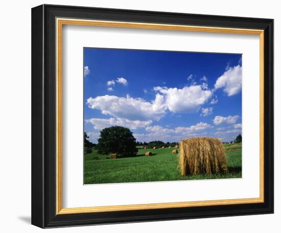 View of Hay Bales in Farm Field, Lexington, Kentucky, USA-Adam Jones-Framed Photographic Print