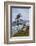 View of Haystack Rock and Cannon Beach, from Highway 101, Oregon, USA-Jamie & Judy Wild-Framed Photographic Print