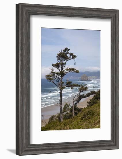 View of Haystack Rock and Cannon Beach, from Highway 101, Oregon, USA-Jamie & Judy Wild-Framed Photographic Print