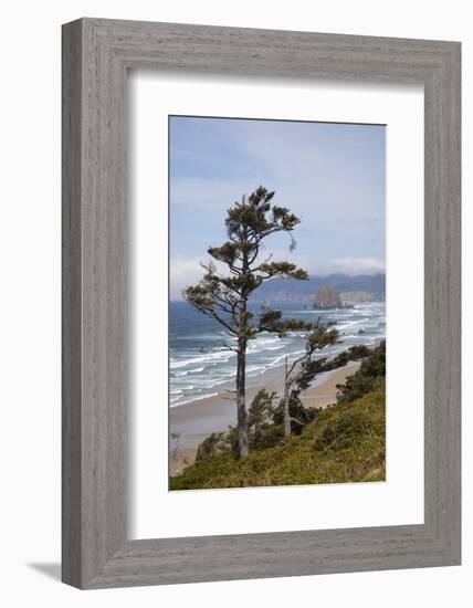 View of Haystack Rock and Cannon Beach, from Highway 101, Oregon, USA-Jamie & Judy Wild-Framed Photographic Print