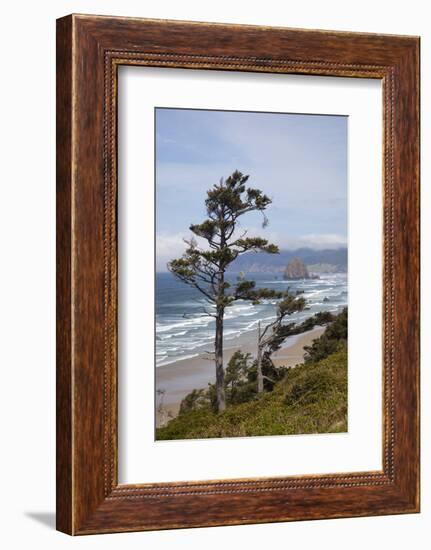 View of Haystack Rock and Cannon Beach, from Highway 101, Oregon, USA-Jamie & Judy Wild-Framed Photographic Print