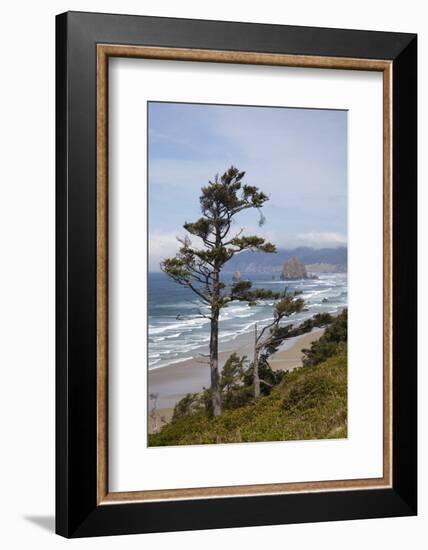 View of Haystack Rock and Cannon Beach, from Highway 101, Oregon, USA-Jamie & Judy Wild-Framed Photographic Print