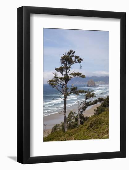 View of Haystack Rock and Cannon Beach, from Highway 101, Oregon, USA-Jamie & Judy Wild-Framed Photographic Print