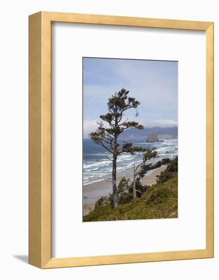 View of Haystack Rock and Cannon Beach, from Highway 101, Oregon, USA-Jamie & Judy Wild-Framed Photographic Print