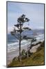 View of Haystack Rock and Cannon Beach, from Highway 101, Oregon, USA-Jamie & Judy Wild-Mounted Photographic Print