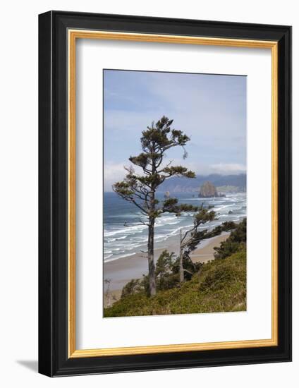 View of Haystack Rock and Cannon Beach, from Highway 101, Oregon, USA-Jamie & Judy Wild-Framed Photographic Print