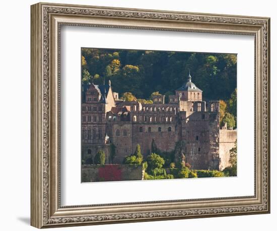 View of Heidelberg's Old Town and Heidelberg Castle from the Philosophenweg, Heidelberg, Germany-Michael DeFreitas-Framed Photographic Print