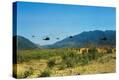 Stretched Canvas Print