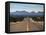 View of Highway 82, Tombstone, AZ-Walter Bibikow-Framed Premier Image Canvas