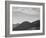 View Of Hill With Trees Clouded Sky "In Rocky Mountain National Park" Colorado 1933-1942-Ansel Adams-Framed Art Print
