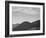 View Of Hill With Trees Clouded Sky "In Rocky Mountain National Park" Colorado 1933-1942-Ansel Adams-Framed Art Print