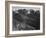 View Of Hills And Mountains "In Rocky Mountain National Park" Colorado 1933-1942-Ansel Adams-Framed Art Print