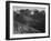 View Of Hills And Mountains "In Rocky Mountain National Park" Colorado 1933-1942-Ansel Adams-Framed Art Print