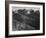 View Of Hills And Mountains "In Rocky Mountain National Park" Colorado 1933-1942-Ansel Adams-Framed Art Print