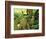 View of Hoh Rainforest, Olympic Peninsula, Olympic National Park, Washington State, USA-Michele Westmorland-Framed Photographic Print