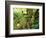 View of Hoh Rainforest, Olympic Peninsula, Olympic National Park, Washington State, USA-Michele Westmorland-Framed Photographic Print