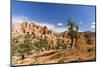 View of hoodoo formations from the Fairyland Trail in Bryce Canyon National Park, Utah, United Stat-Michael Nolan-Mounted Photographic Print