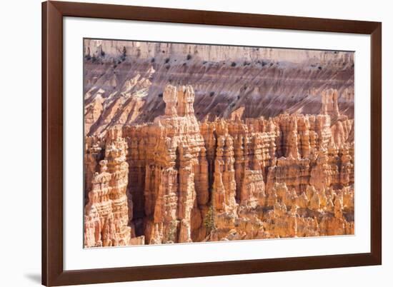 View of hoodoo formations from the Navajo Loop Trail in Bryce Canyon National Park, Utah, United St-Michael Nolan-Framed Photographic Print