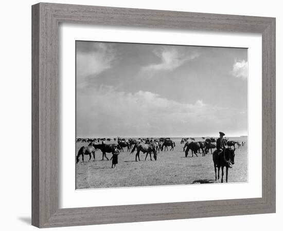 View of Horses Grazing on the Flat Hungarian Plains That Pastures Some 90,000 Horses-Margaret Bourke-White-Framed Photographic Print