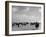 View of Horses Grazing on the Flat Hungarian Plains That Pastures Some 90,000 Horses-Margaret Bourke-White-Framed Photographic Print