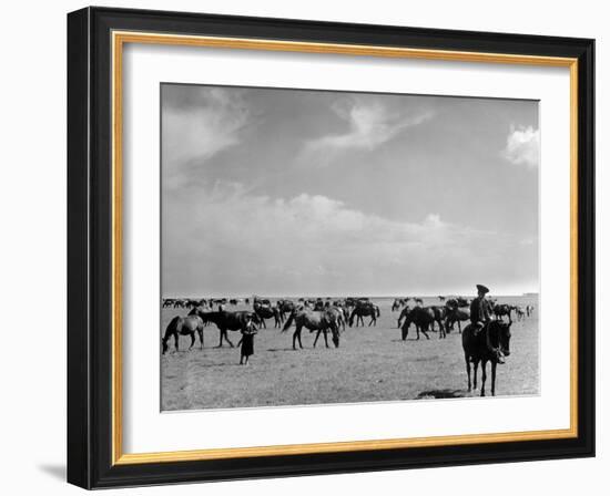 View of Horses Grazing on the Flat Hungarian Plains That Pastures Some 90,000 Horses-Margaret Bourke-White-Framed Photographic Print