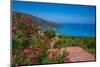 View of houses overlooking coastline, sea and hills near Agkonas, Kefalonia, Ionian Islands-Frank Fell-Mounted Photographic Print