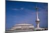 View of Houston Astrodome-null-Mounted Giclee Print