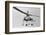 View of Howard Hughes XH 17 Helicopter-null-Framed Photographic Print