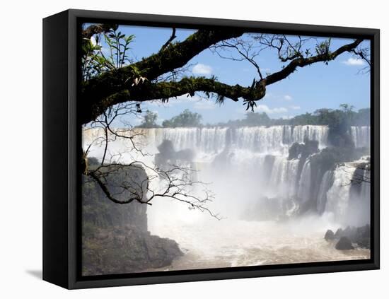 View of Iguassu Falls and Jungle, Argentina-Michele Molinari-Framed Premier Image Canvas