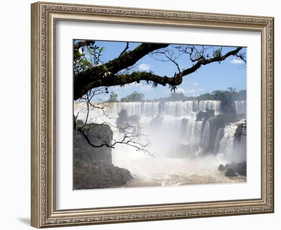 View of Iguassu Falls and Jungle, Argentina-Michele Molinari-Framed Photographic Print