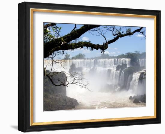 View of Iguassu Falls and Jungle, Argentina-Michele Molinari-Framed Photographic Print