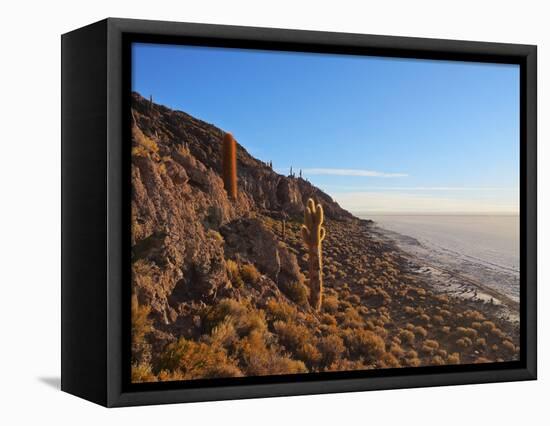 View of Incahuasi Island with its gigantic cacti, Salar de Uyuni, Daniel Campos Province, Potosi De-Karol Kozlowski-Framed Premier Image Canvas