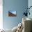 View of Incahuasi Island with its gigantic cacti, Salar de Uyuni, Daniel Campos Province, Potosi De-Karol Kozlowski-Mounted Photographic Print displayed on a wall