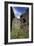 View of Inverlochy Castle, Near Fort William, Inverness-Shire, Scotland, 13th Century-null-Framed Giclee Print