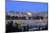 View of Jerusalem from the Mount of Olives, Jerusalem, Israel, Middle East-Neil Farrin-Mounted Photographic Print