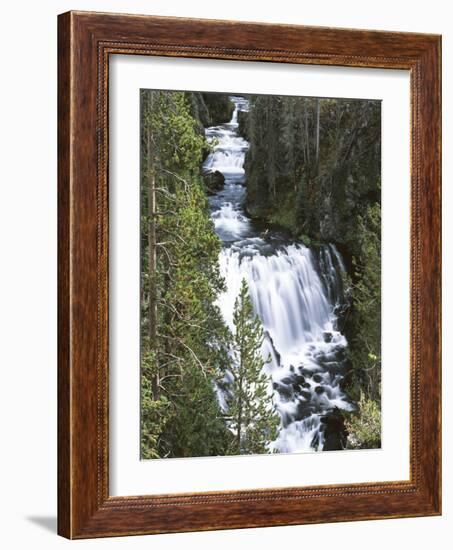 View of Kepler Cascades on Firehole River, Wyoming, USA-Scott T. Smith-Framed Photographic Print