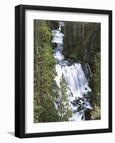 View of Kepler Cascades on Firehole River, Wyoming, USA-Scott T. Smith-Framed Photographic Print