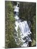 View of Kepler Cascades on Firehole River, Wyoming, USA-Scott T. Smith-Mounted Photographic Print